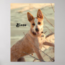 Recherche de élevage posters Bleu