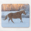 Recherche de running tapis souris Shell wyoming