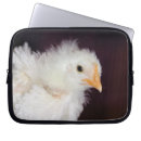 Zoek naar vogels laptop sleeves Fotografie