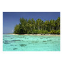 Recherche de polynesie art Turquoise