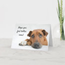 Zoek naar voel goed kaarten Hond