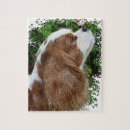 Recherche de cavalier puzzles Chien