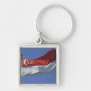 Recherche de singapour porteclés Bleu