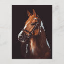 Zoek naar verf paard briefkaarten Mooi