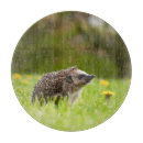 Recherche de hérisson planches à découper Animal