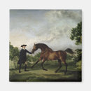 Recherche de duc magnets Paysage