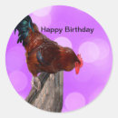 Recherche de poulailler autocollants Coq