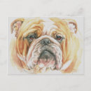 Recherche de bouledogues cartes postales Chien