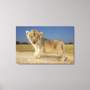 Recherche de panthera art L'afrique