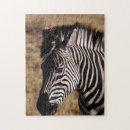 Recherche de zimbabwe puzzles Nature