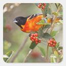 Recherche de habitat autocollants Printemps