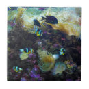 Recherche de poissons tropicaux carreaux Océan