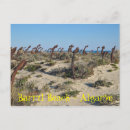 Recherche de barrière de plage cartes postales Été