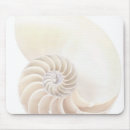 Recherche de nautilus tapis souris Vie marine
