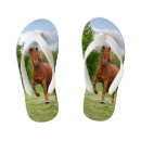 Recherche de amants de cheval Girl