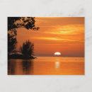 Recherche de photo de palmier cartes postales Nature
