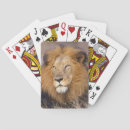 Recherche de comportement jeux de cartes Gros plan