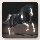Zoek naar western fotografie Paarden