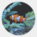 Recherche de nemo autocollants Sous marin