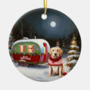 Zoek naar caravan ornamenten Kerst