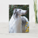 Recherche de wolfhound vœux cartes Canine