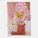 Recherche de chiens mignons cuisine linges Petit chien