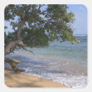 Recherche de kauai hawaii autocollants Tropical