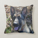 Recherche de chiot de berger allemand coussins Chiens