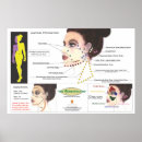 Recherche de lymphatique posters Diagramme