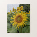 Recherche de pretty puzzles Flowers