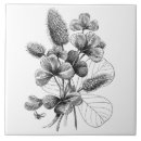 Zoek naar flora tegels Bloemen