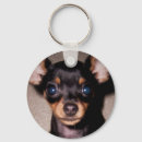 Recherche de poussette porteclés Chiots