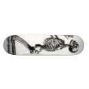 Zoek naar skelet skateboards Dood