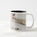 Recherche de harlequin tasses Nature