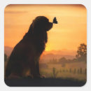 Recherche de de cocker autocollants Chien
