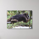 Zoek naar aap kunst Dierentuin