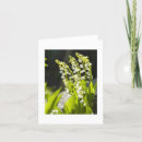 Zoek naar lelietje van dalen kaarten Flora