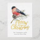 Recherche de birdies vœux cartes Family