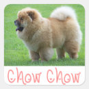 Recherche de chow chow autocollants Choeur