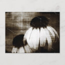 Recherche de dark cartes postales Antique