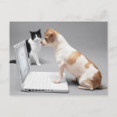 Recherche de effort cartes postales Humour