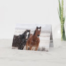 Recherche de colts vœux cartes Chevaux