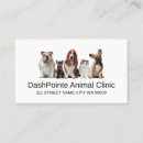 Recherche de refuge pour cartes visite Animal de compagnie