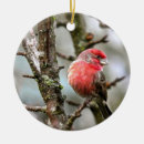 Zoek naar paars ornamenten Mooi