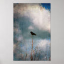 Zoek naar kraai posters Vintage