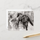 Recherche de poulain jument cartes postales Équin