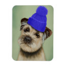 Recherche de frontière magnets Terrier