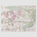 Recherche de fleur de digitale Botanique