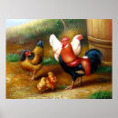 Recherche de coq vintage posters Paysage