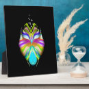 Recherche de yeux plaques Imaginaire